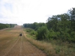 IMG_1672.JPG